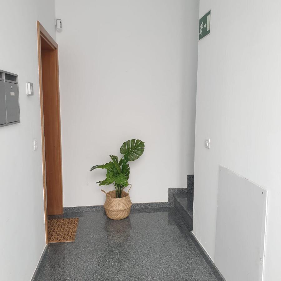 City Suite Las Palmas de Gran Canaria Exterior photo